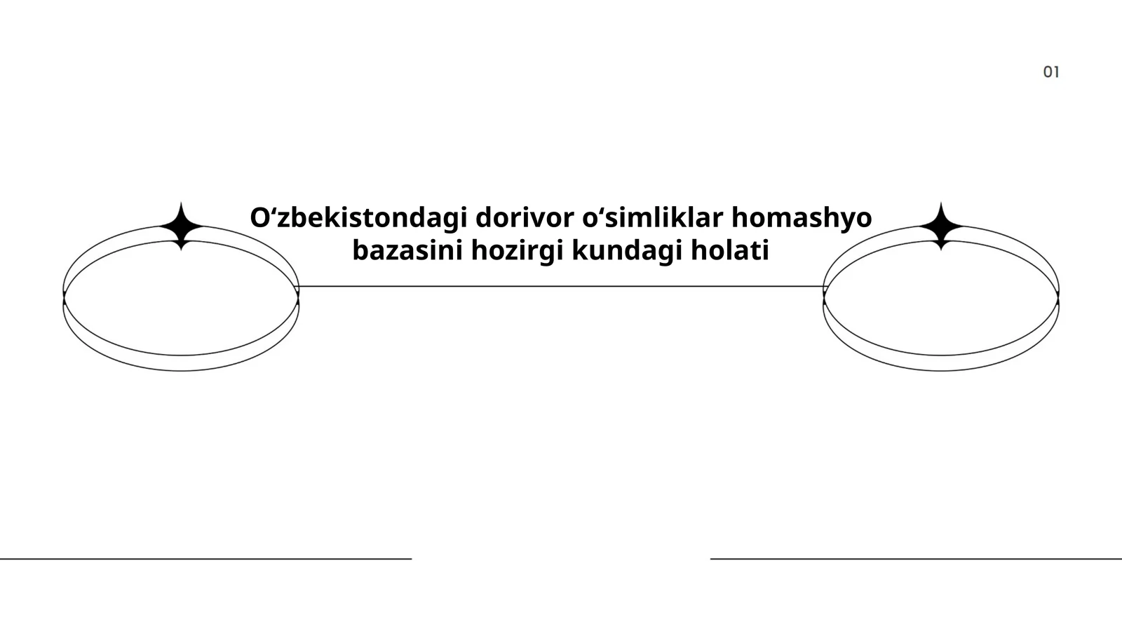 Oʻzbekistondagi dorivor oʻsimliklar homashyo bazasini hozirgi kundagi holati