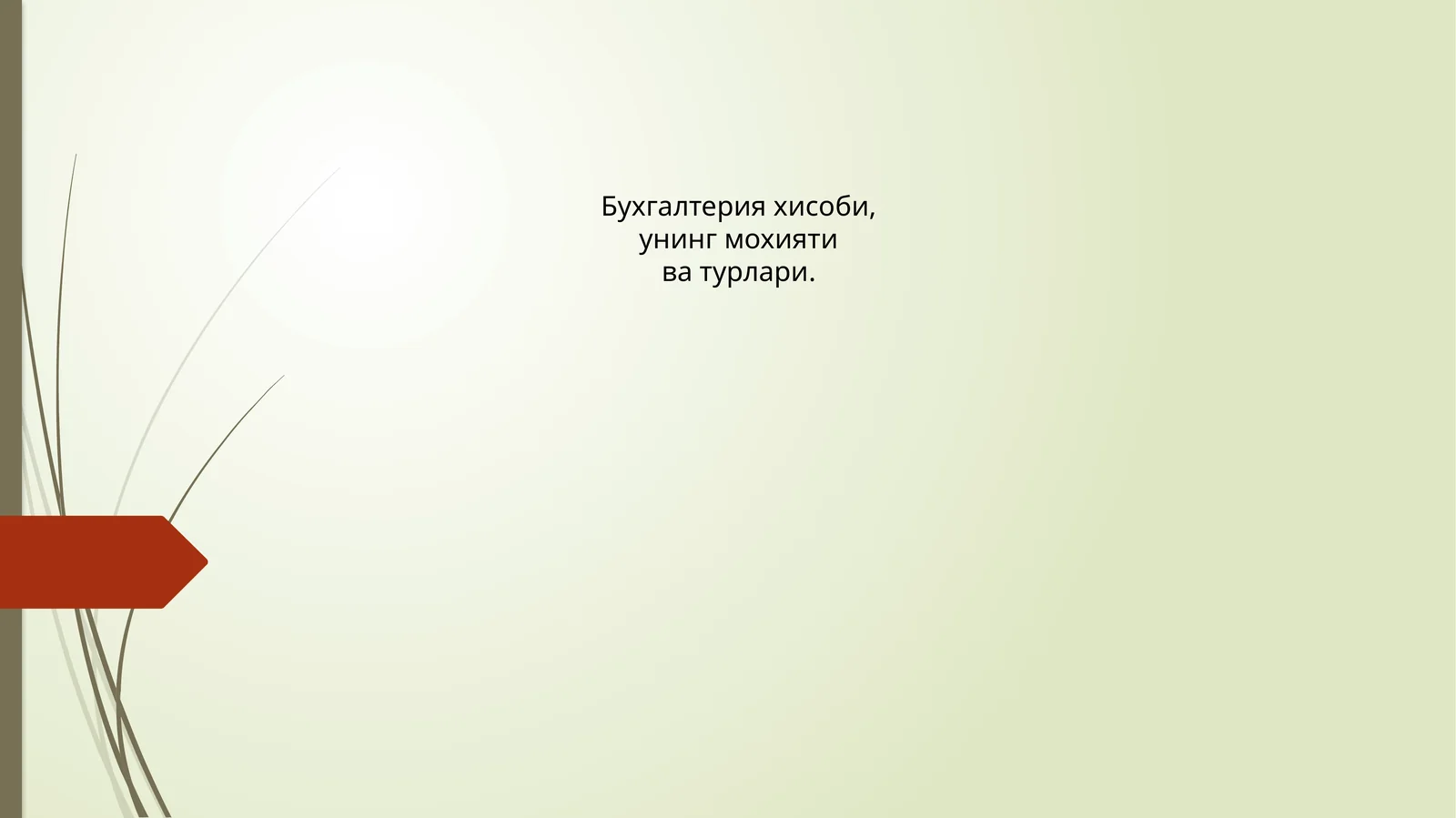 Бухгалтерия хисоби, унинг мохияти ва турлари