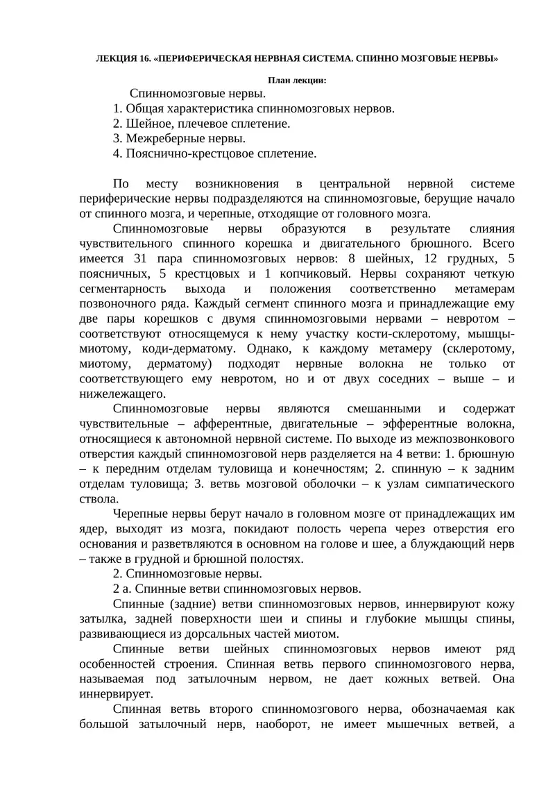 ПЕРИФЕРИЧЕСКАЯ НЕРВНАЯ СИСТЕМА. СПИННО МОЗГОВЫЕ НЕРВЫ
