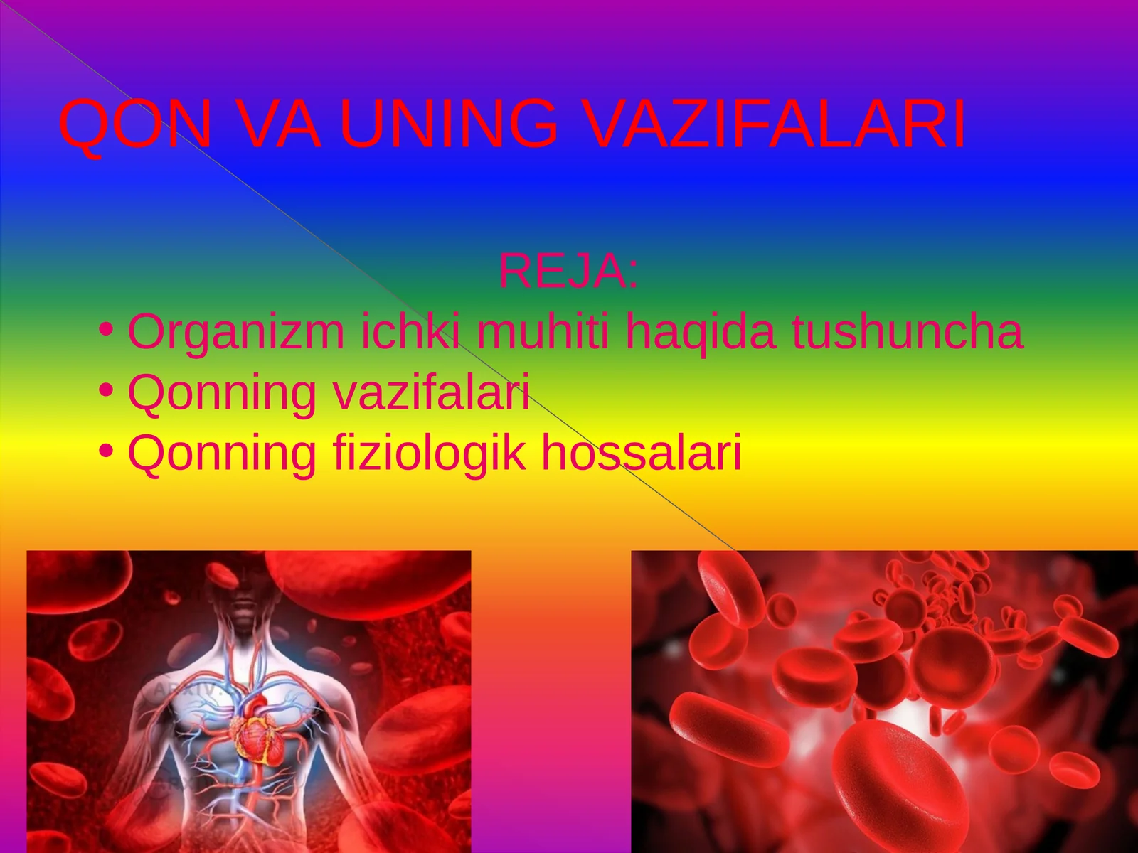 Qon va uning vazifalari