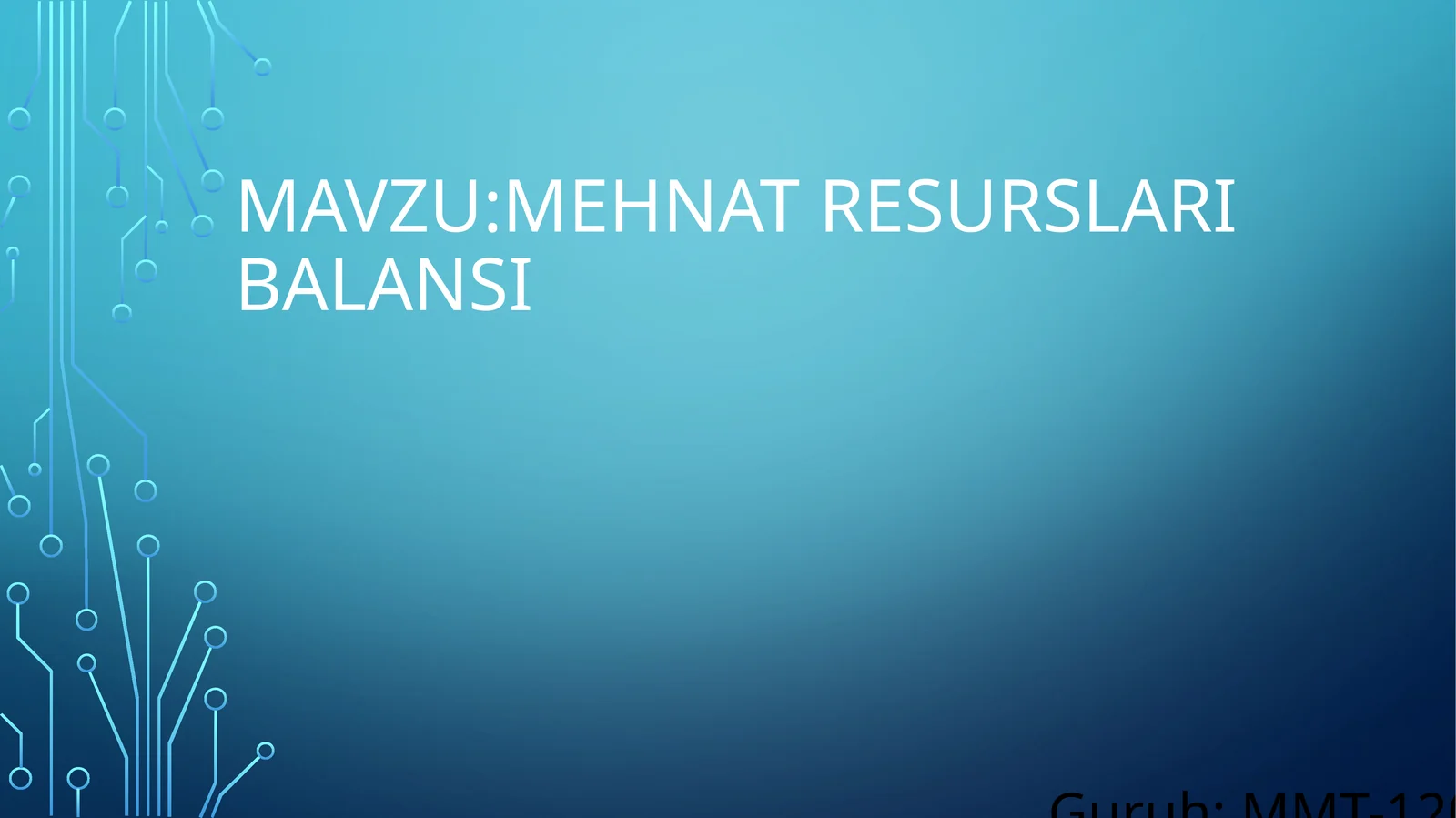Mehnat resurslari balansi