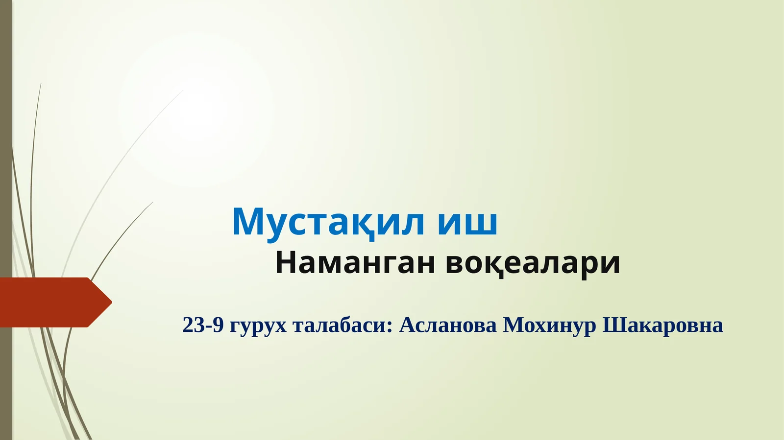МустақилишНаманганвоқеалари