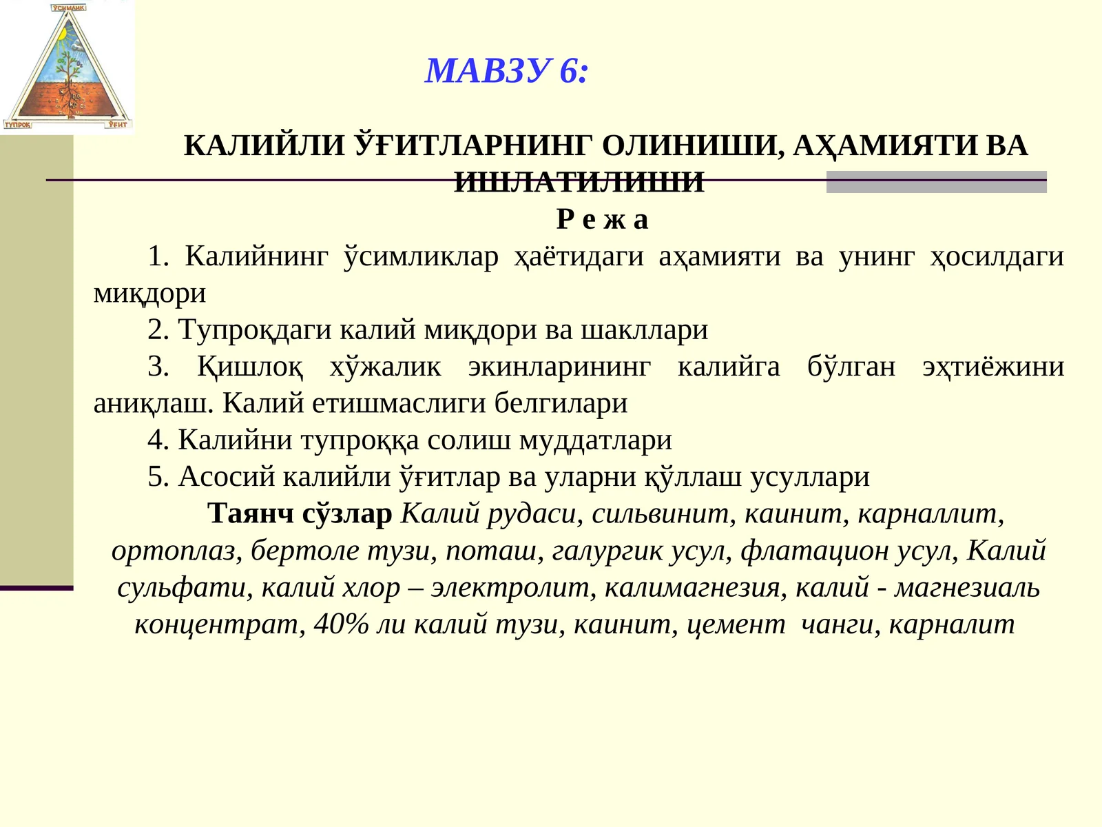 КАЛИЙЛИ ЎҒИТЛАРНИНГ ОЛИНИШИ, АҲАМИЯТИ ВА ИШЛАТИЛИШИ