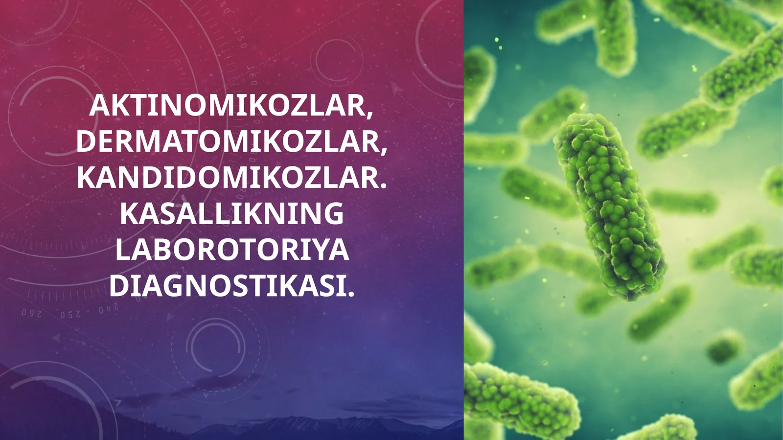 Aktinomikozlar, dermatomikozlar, kandidomikozlar. Kasallikning laborotoriya diagnostikasi.