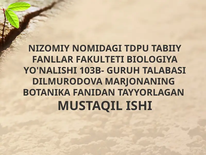 Novdalarning monopodial va simpodial shoxlanishi