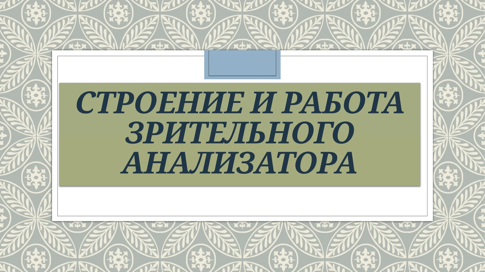 Ziraklar tuzilishi va ishi