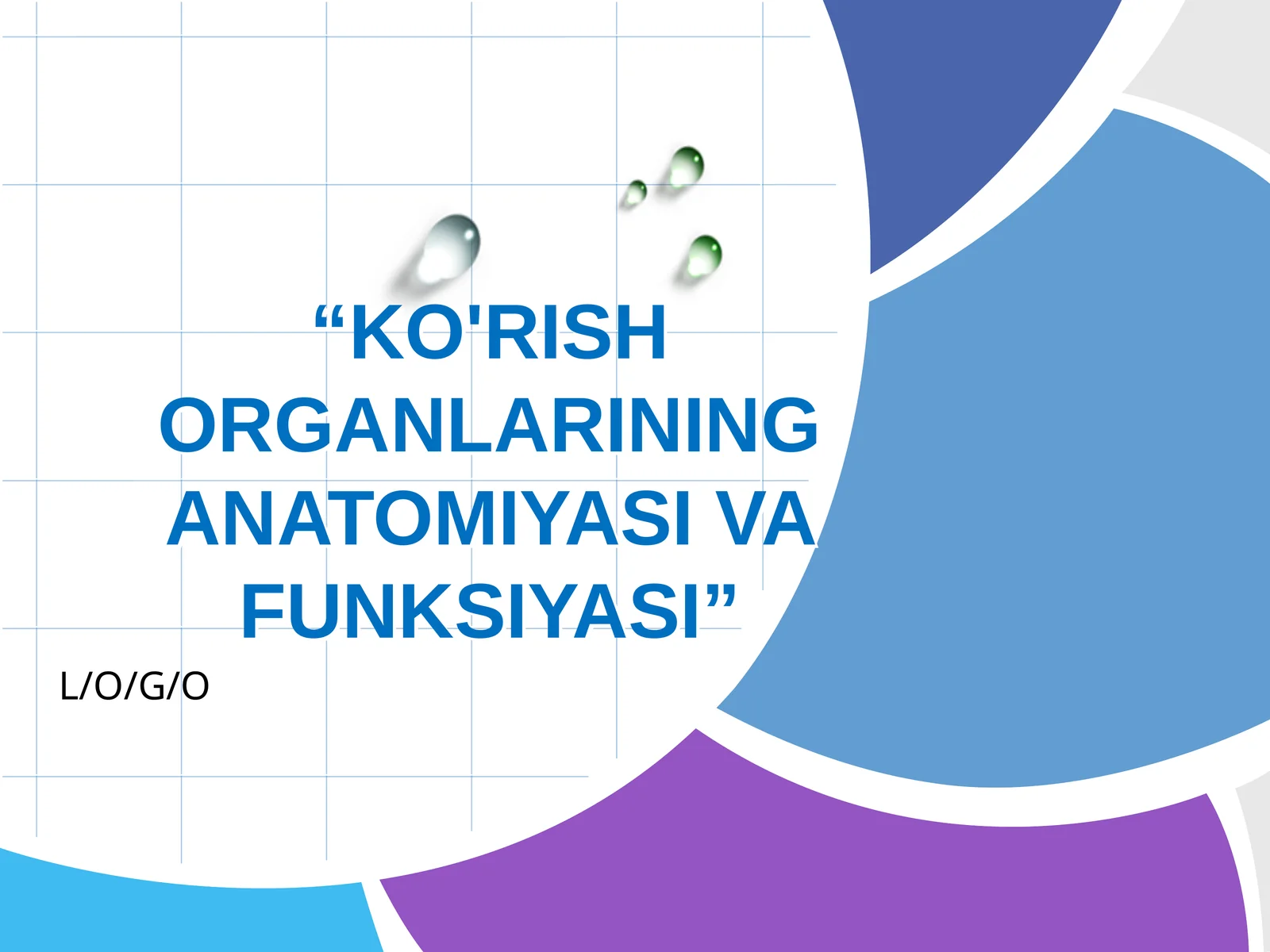 KO'RISH ORGANLARINING ANATOMIYASI VA FUNKSIYASI