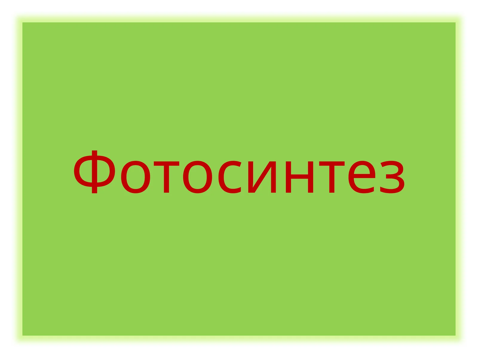 Фотосинтез