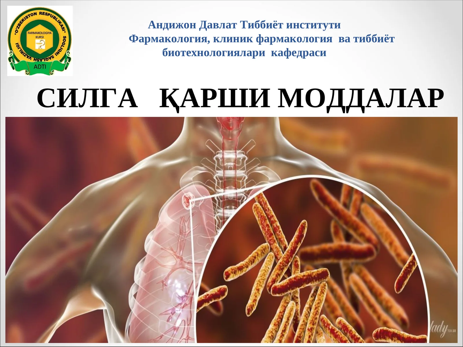 СИЛГА ҚАРШИ МОДДАЛАР