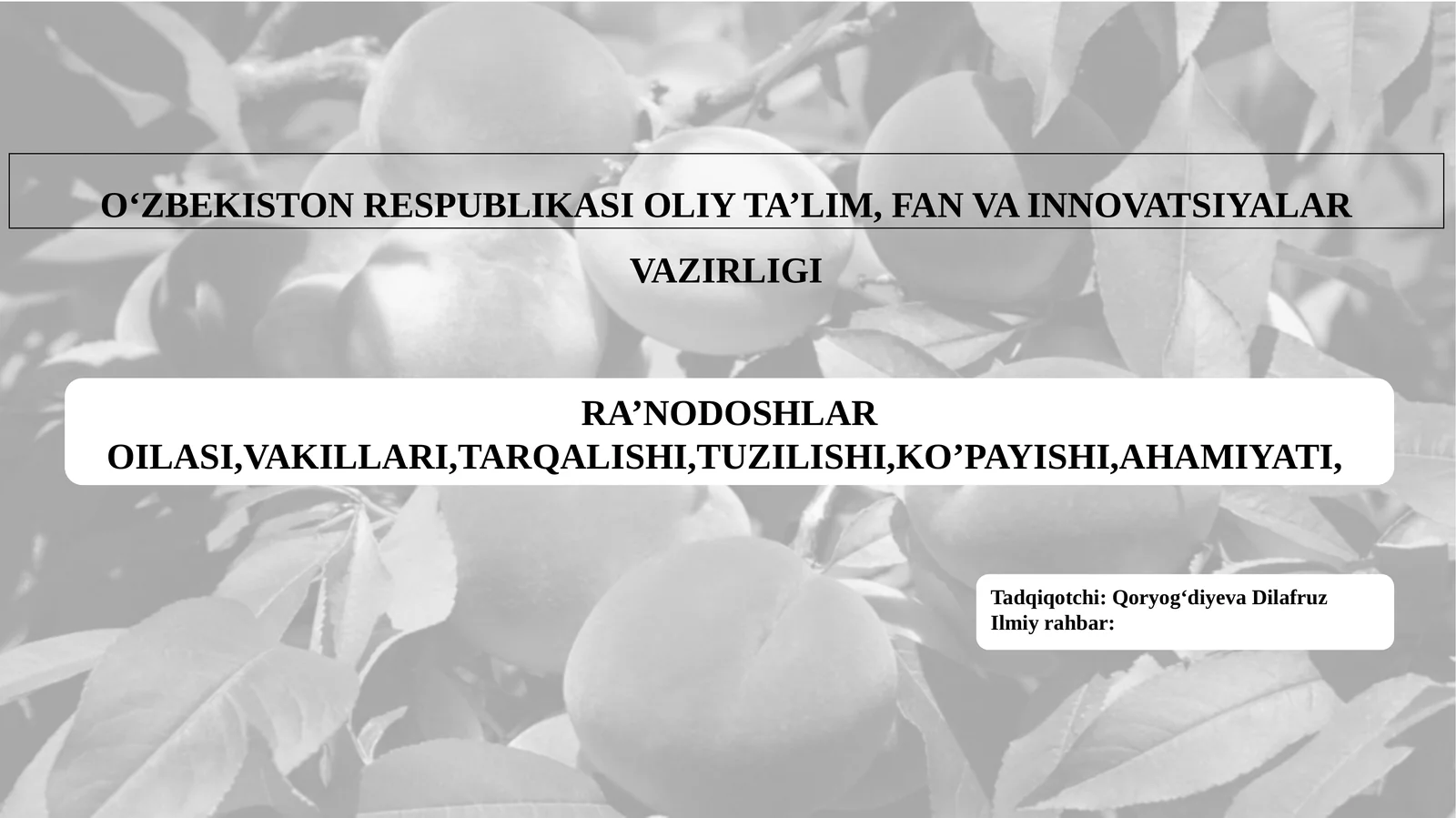 RA’NODOSHLAR OILASI,VAKILLARI,TARQALISHI,TUZILISHI,KO’PAYISHI,AHAMIYATI