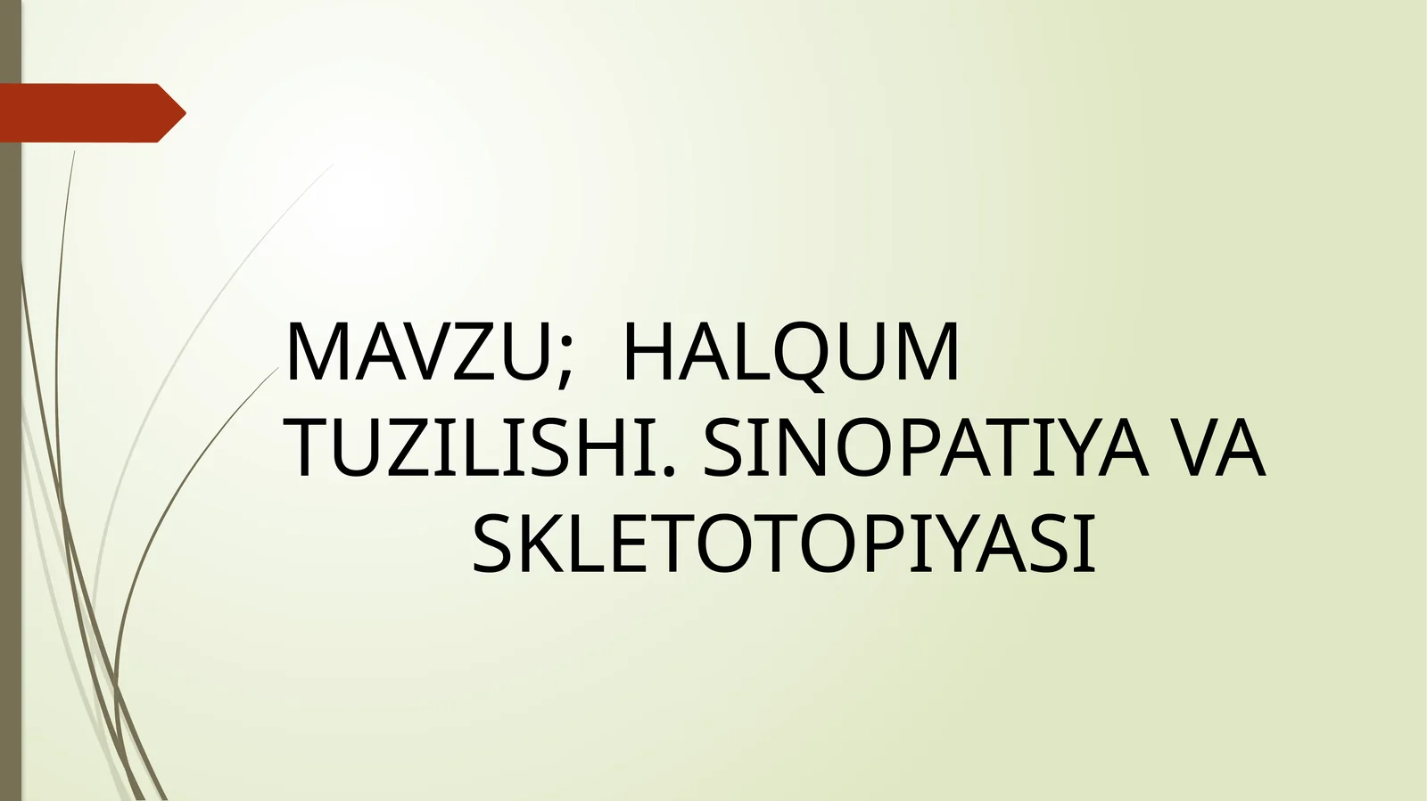 HALQUM TUZILISHI. SINOPATIYA VA SKLETOTOPIYASI