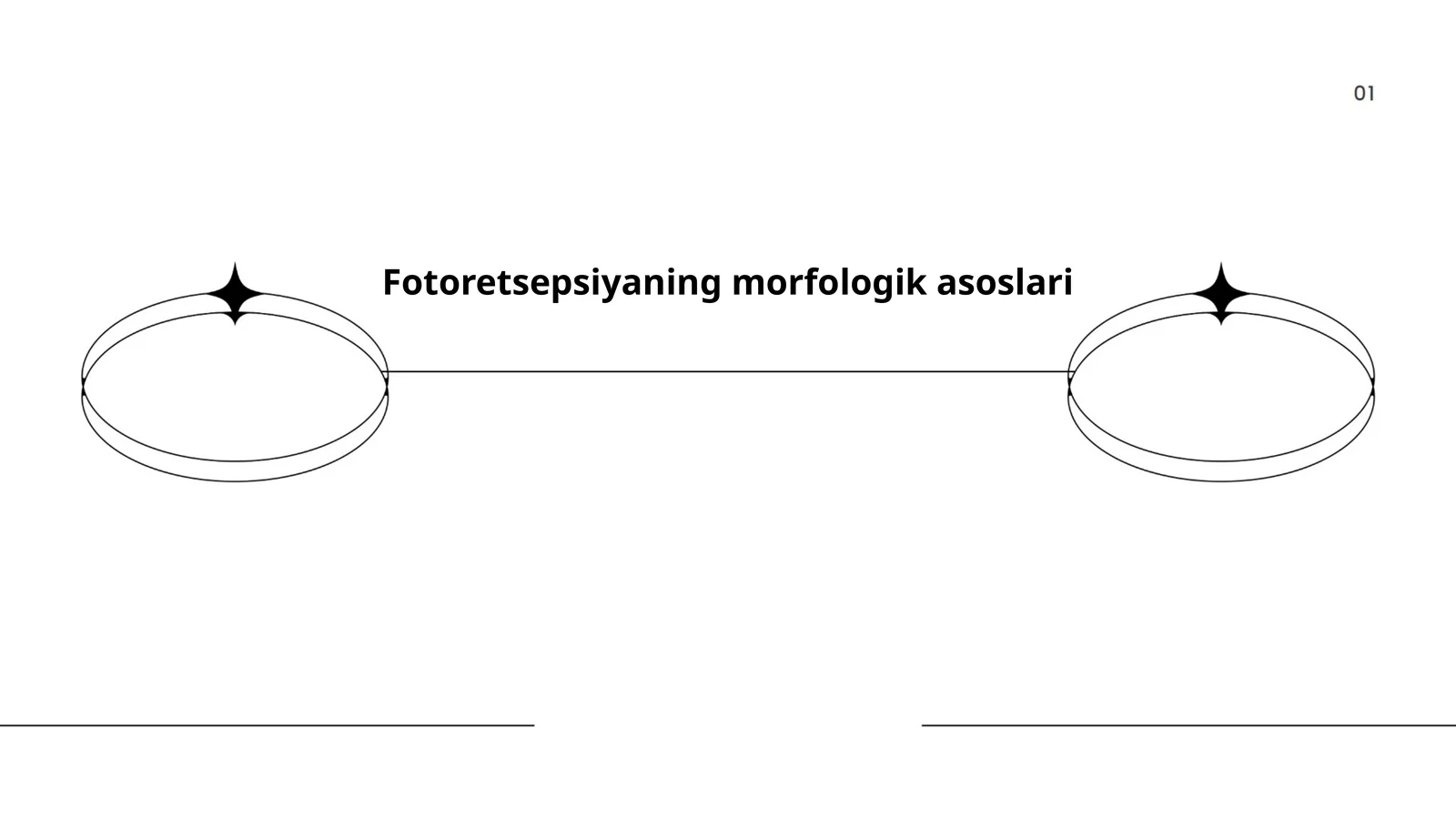 Fotoretsepsiyaning morfologik asoslari