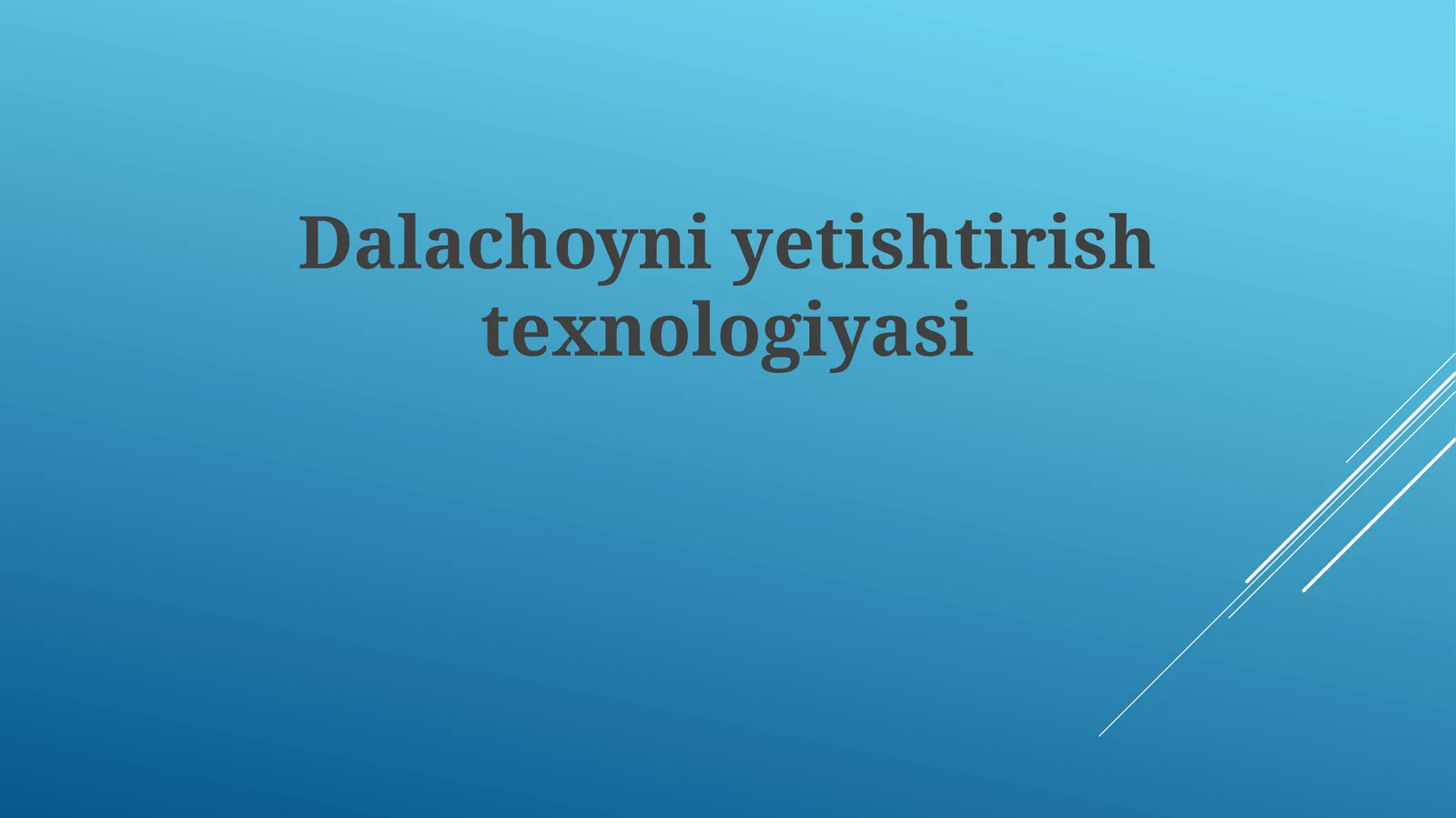 Dalachoyni yetishtirish texnologiyalari