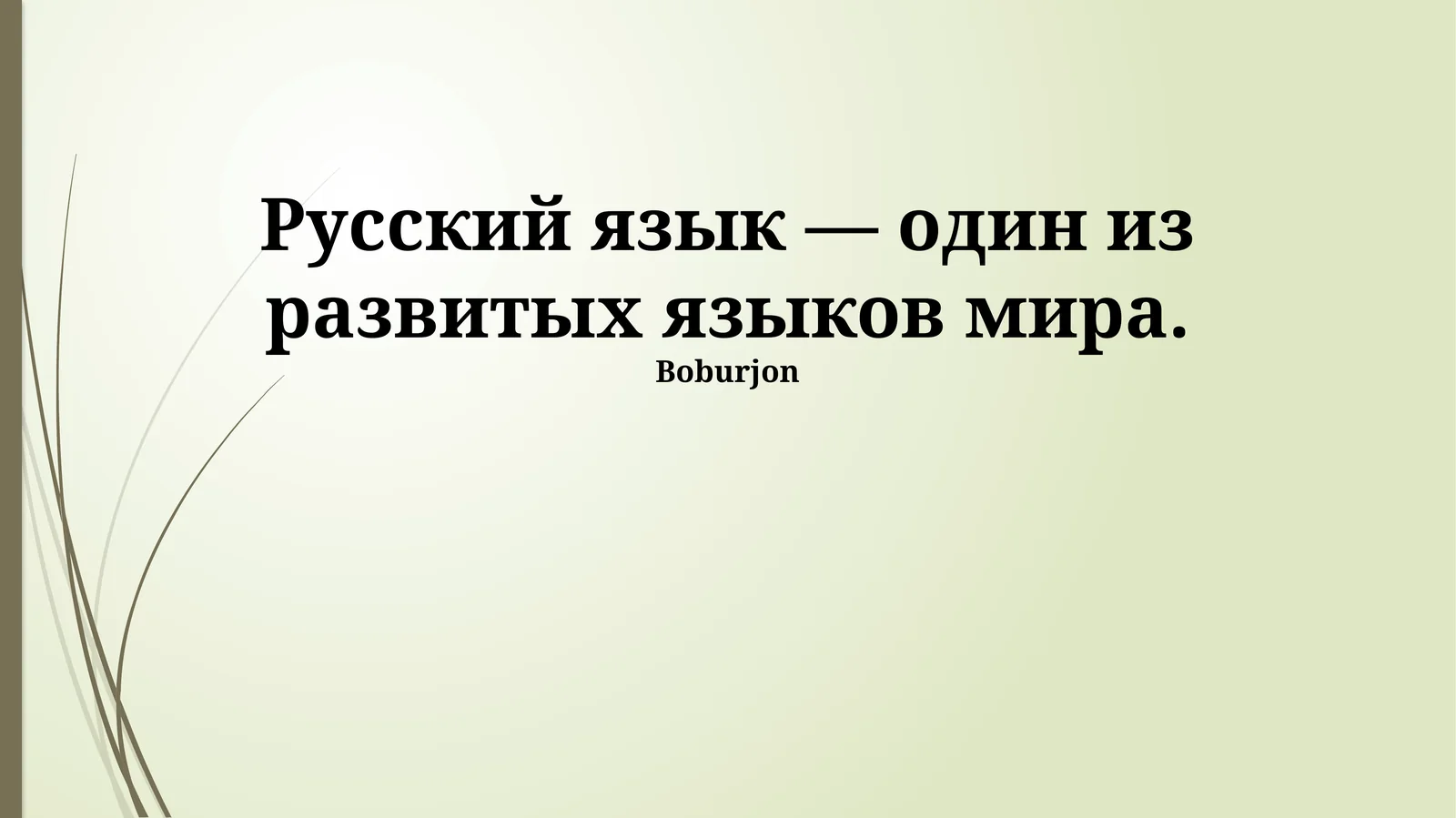 Современный русский язык: богатство и развитие