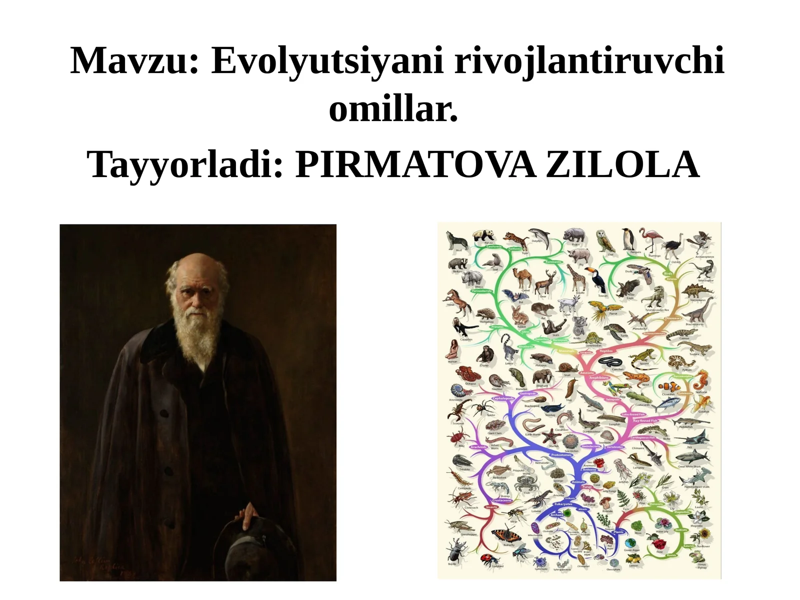 Evolyutsiyani rivojlantiruvchi omillar