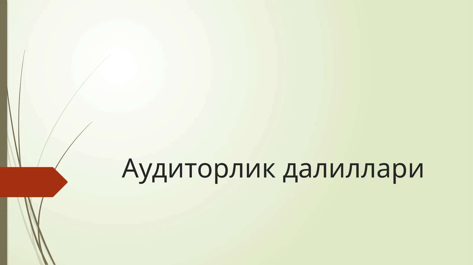 Аудиторлик далиллари