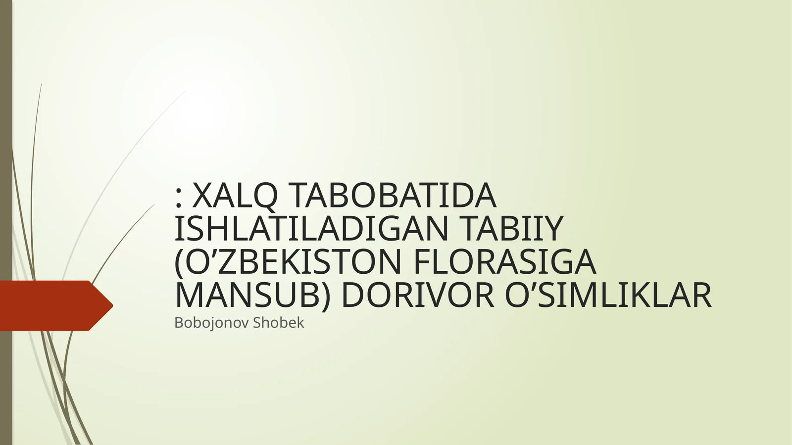 OSH PIYOZ TABOBATDA QO’LLANISHI