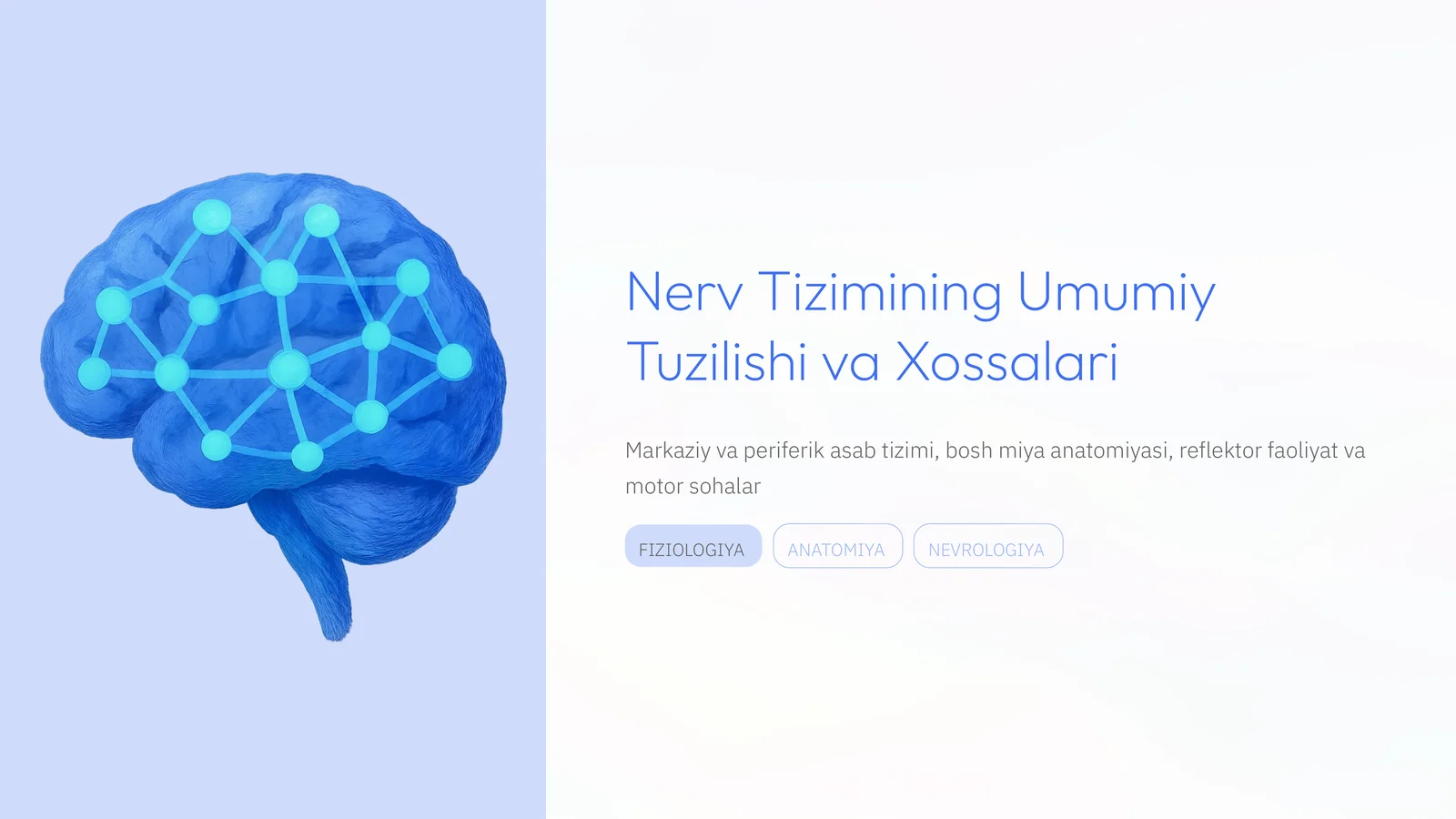Nerv Tizimining Umumiy Tuzilishi va Xossalari