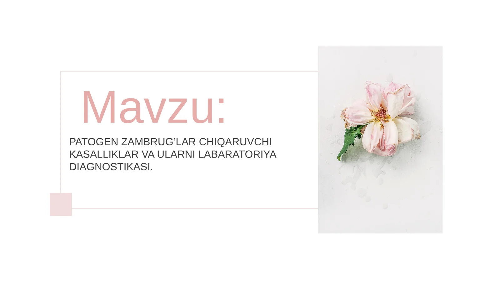 PATOGEN ZAMBRUG’LAR CHIQARUVCHI KASALLIKLAR VA ULARNI LABARATOR DIAGNOSTIKASI