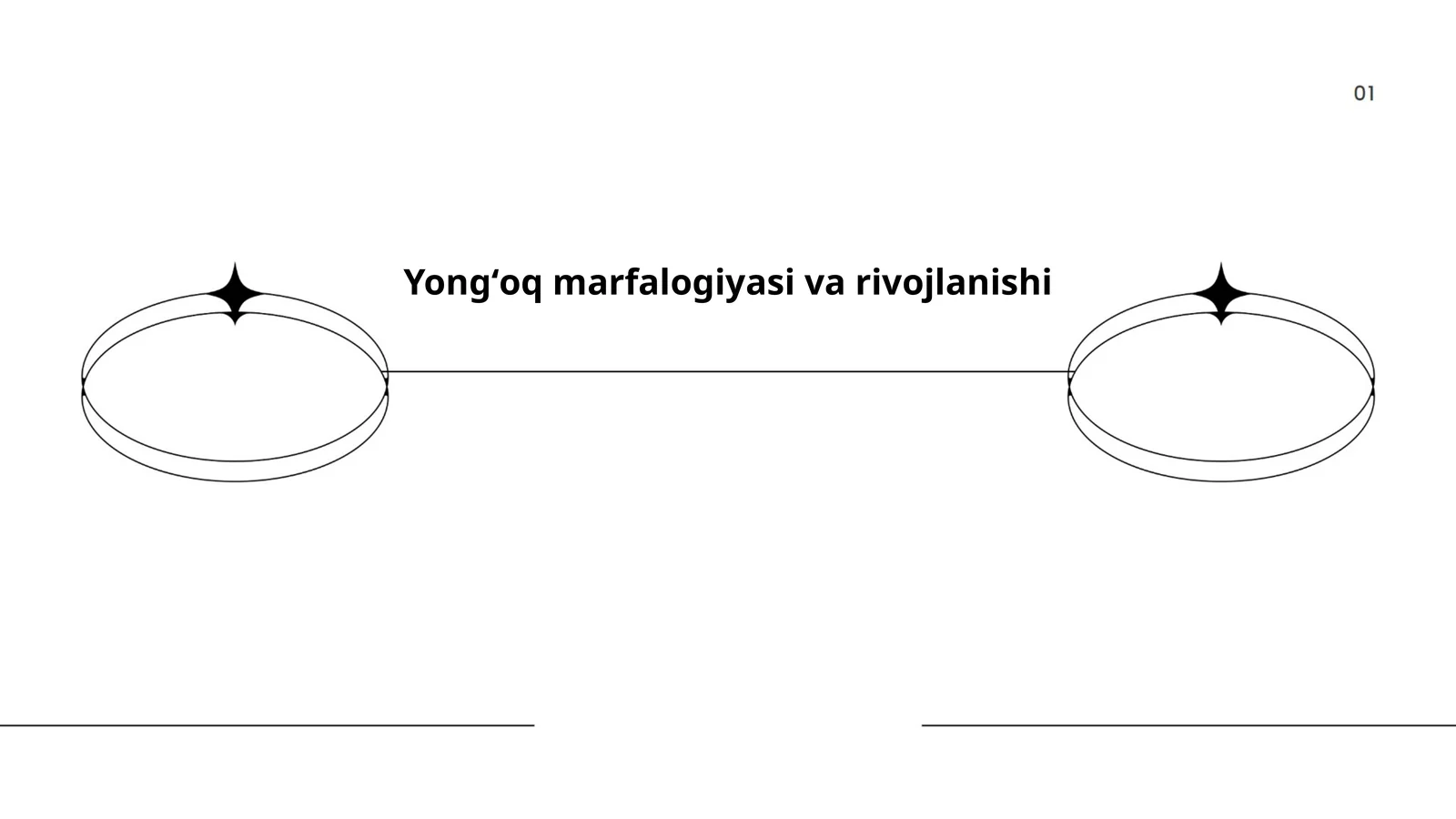 Yongʻoq marfalogiyasi va rivojlanishi