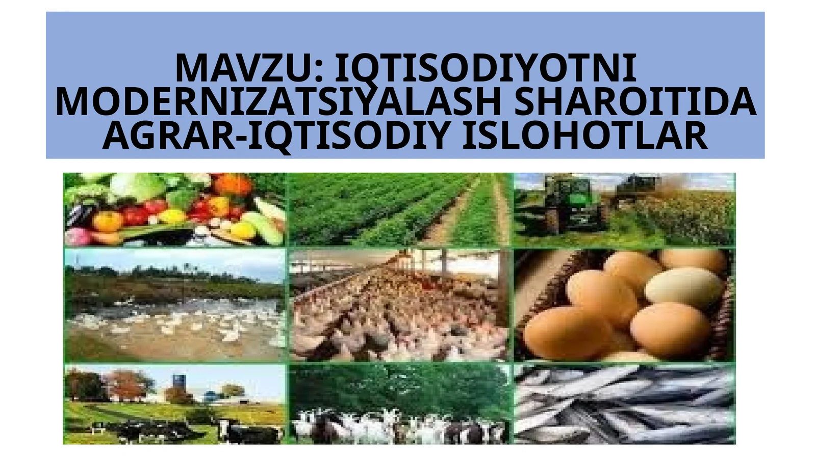 IQTISODIYOTNIMODERNIZАTSIYALASH SHAROITIDAAGRAR-IQTISODIY ISLOHOTLAR