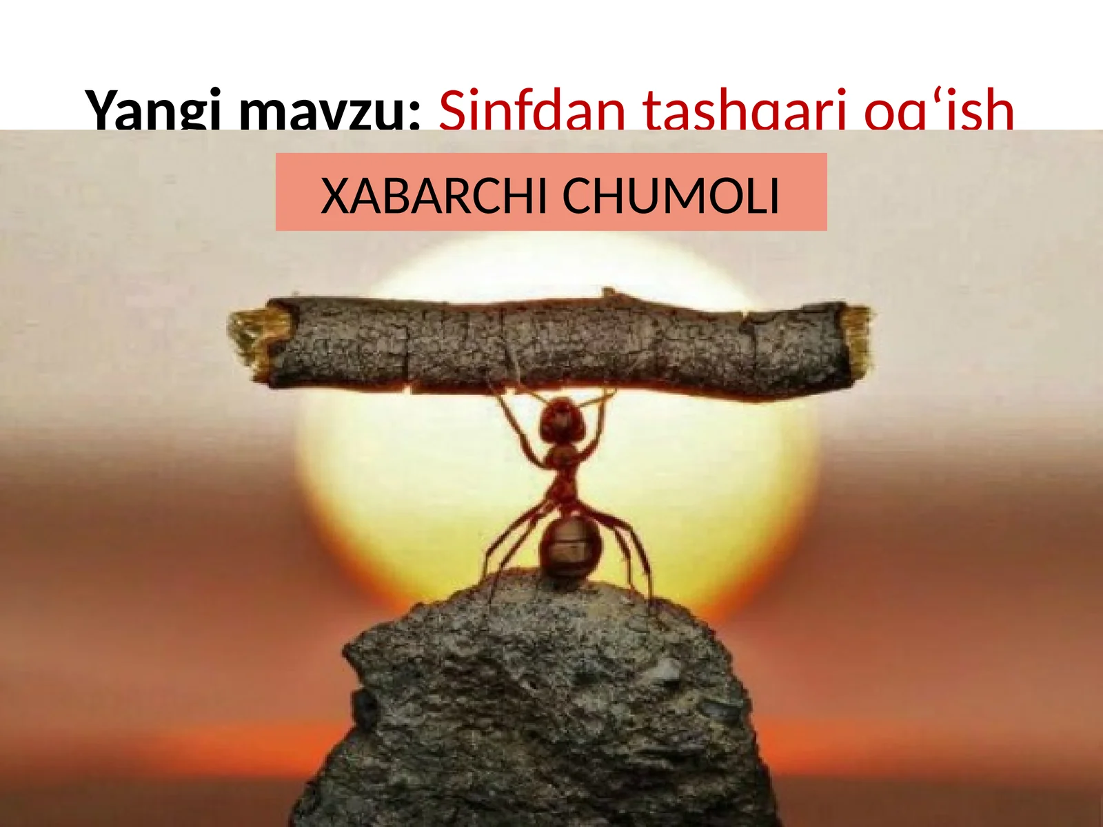 Yangimavzu: Sinfdantashqarioq‘ish