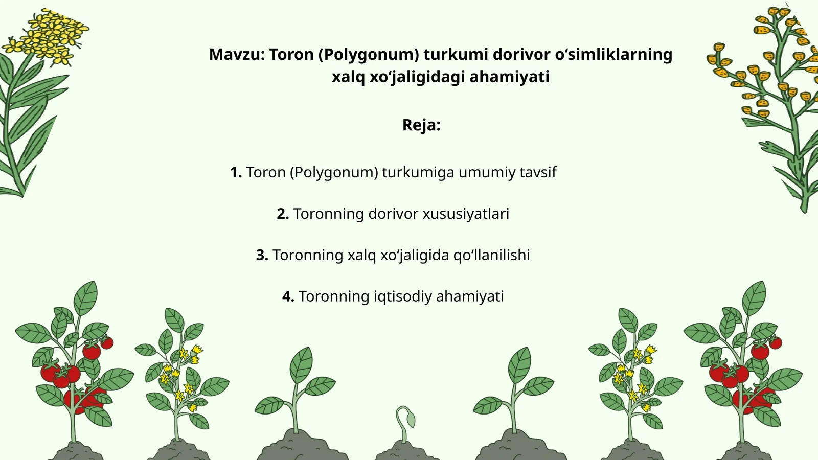 Toron (Polygonum) turkumi dorivor o‘simliklarning xalq xo‘jaligidagi ahamiyati