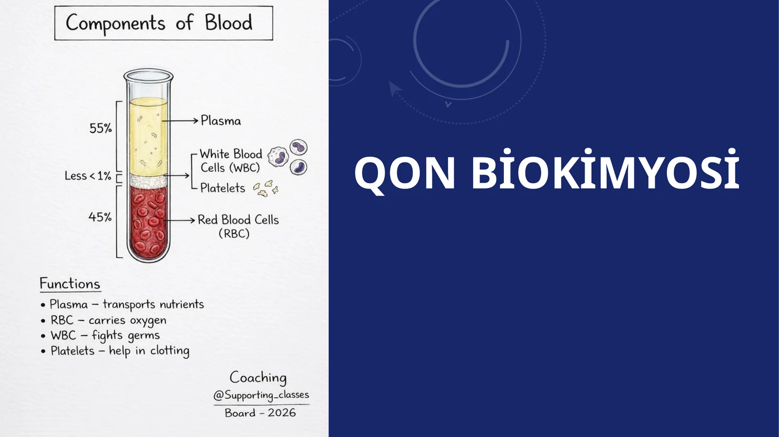Qon biokimyosi