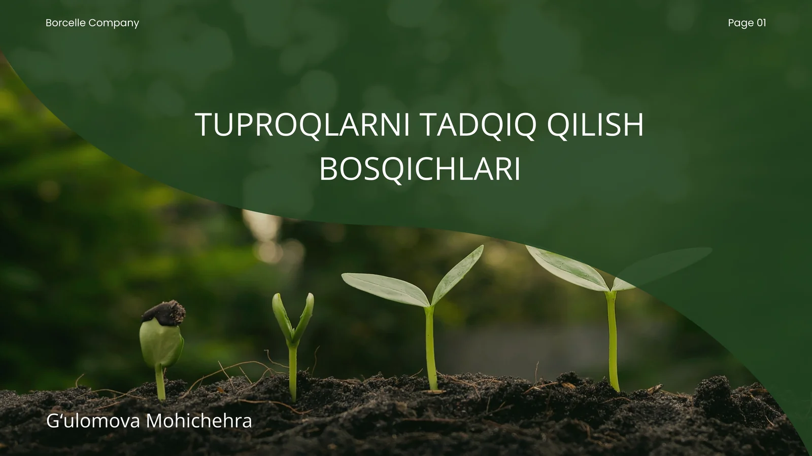 TUPROQLARNI TADQIQ QILISH BOSQICHLARI