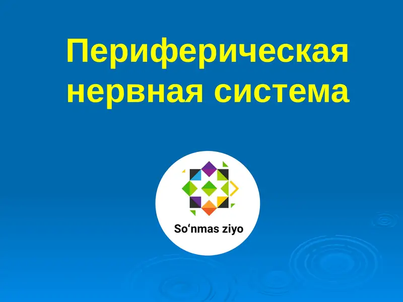 Периферическая нервная система