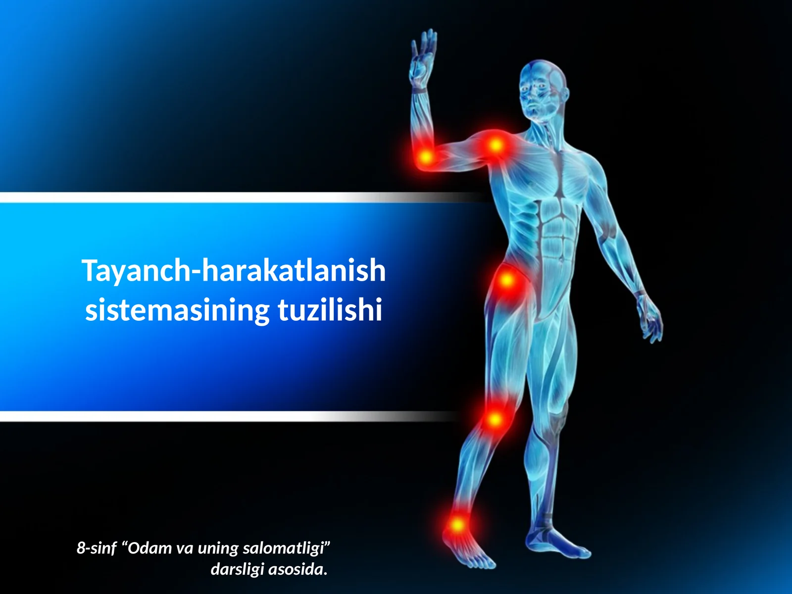 Tayanch-harakatlanish sistemasining tuzilishi