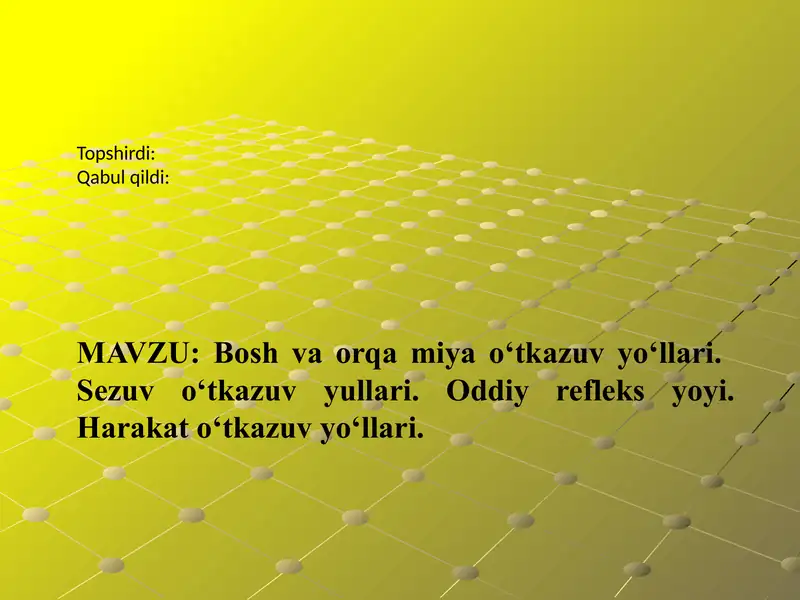 Anatomiya. Bosh va orqa miya o'tkazuv yo'llari. Nevrologiya