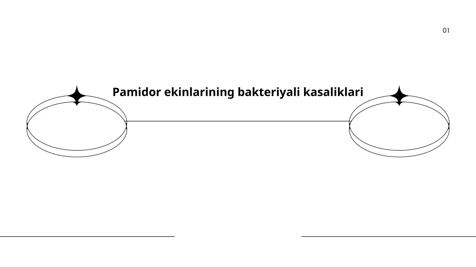 Pamidor ekinlarining bakteriyali kasaliklari
