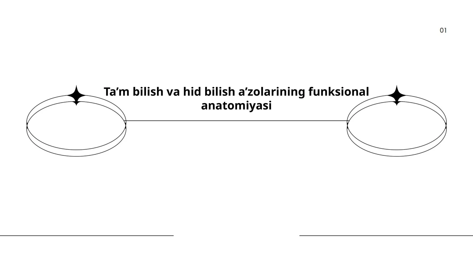 Ta’m bilish va hid bilish a’zolarining funksional anatomiyasi