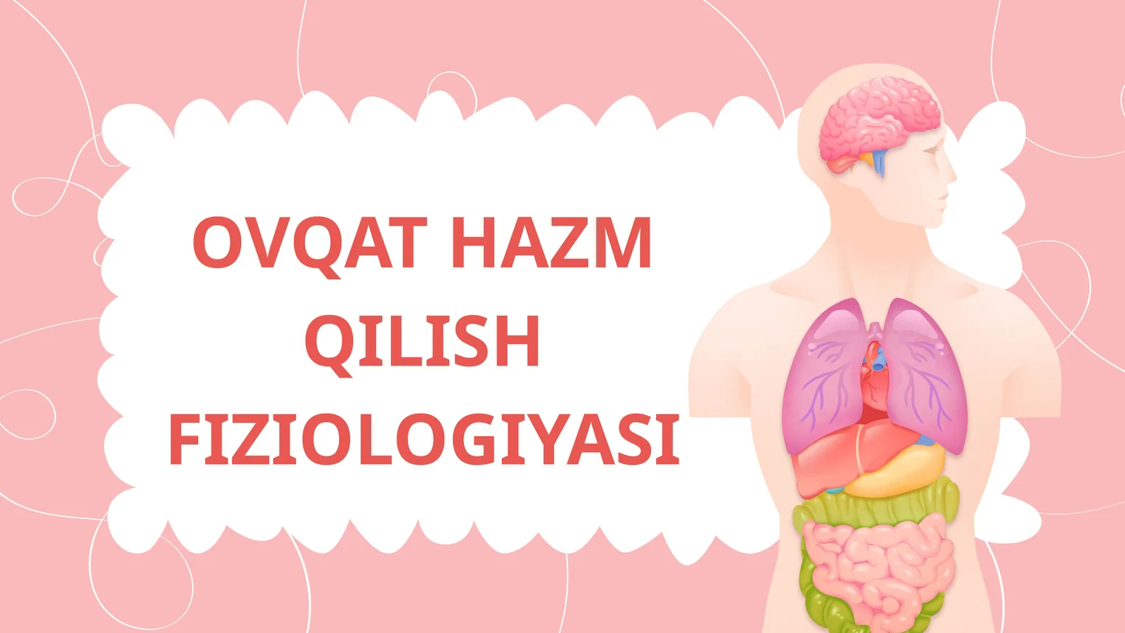 OVQAT HAZM QILISH FIZIOLOGIYASI