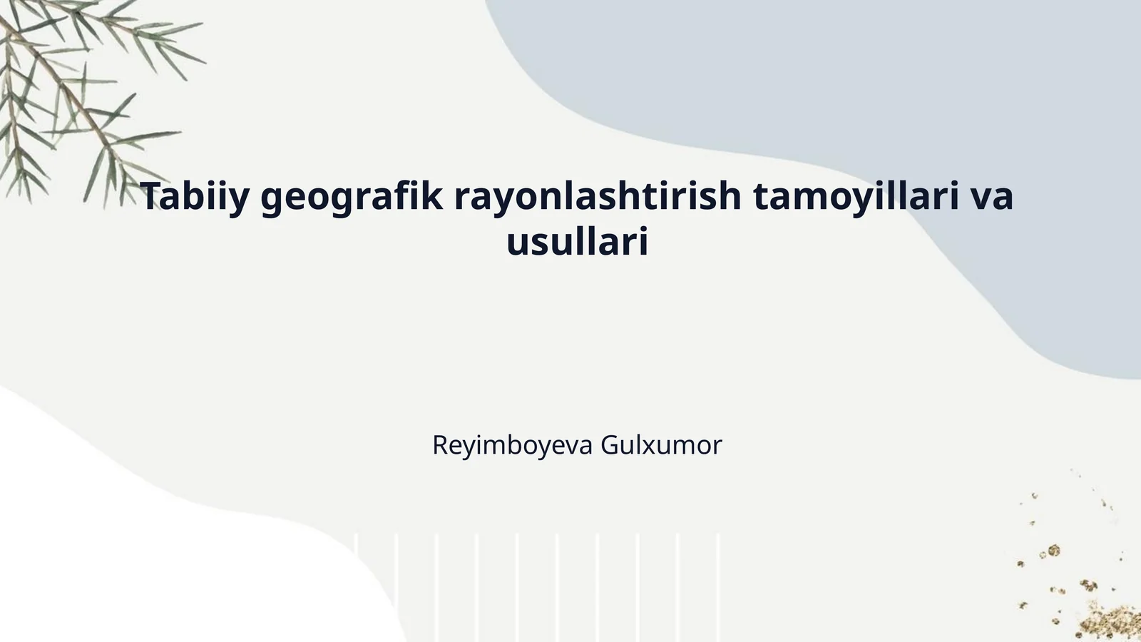 Tabiiy geografik rayonlashtirish tamoyillari va usullari