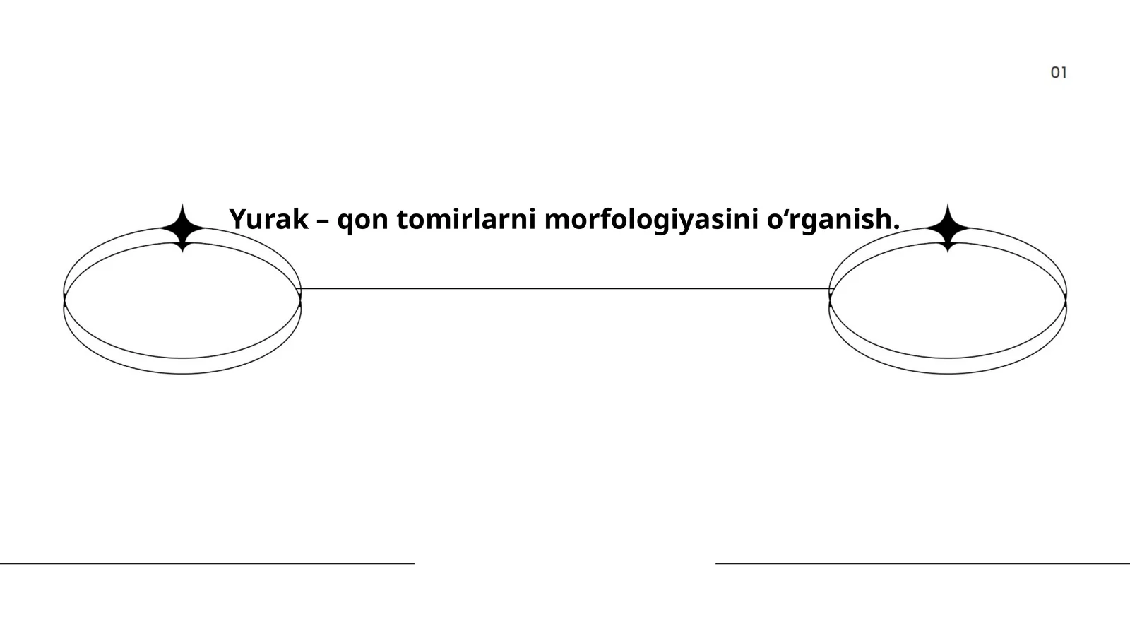 Yurak – qon tomirlarni morfologiyasini o‘rganish