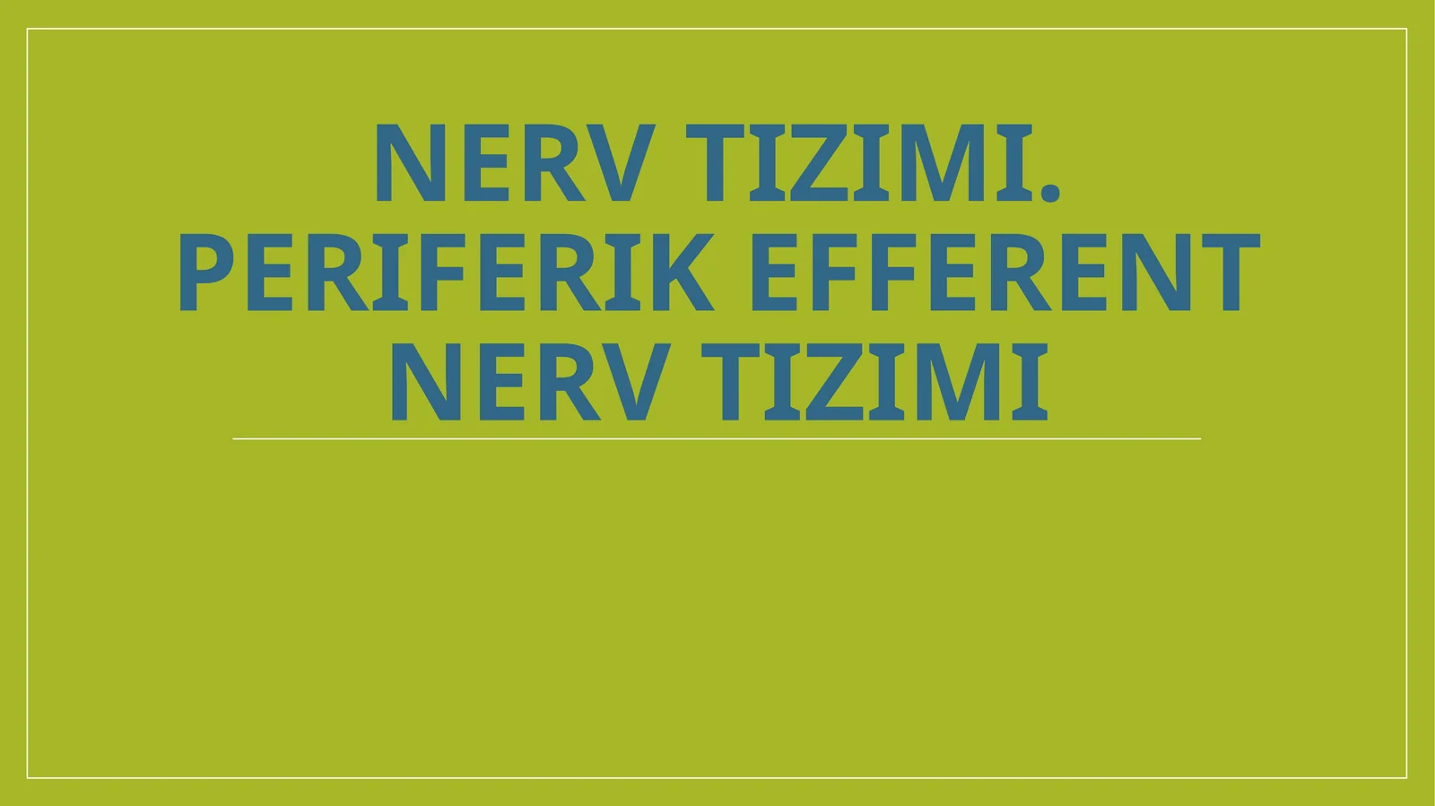 Nerv sistemasining bo'linishi