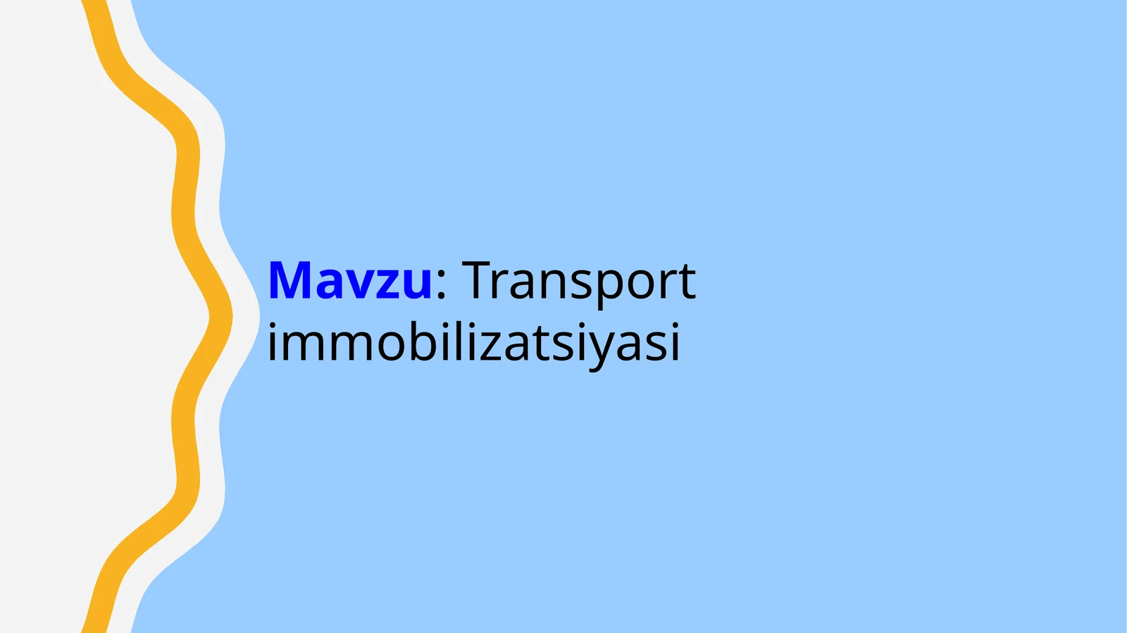 Transport immobilizatsiyasi