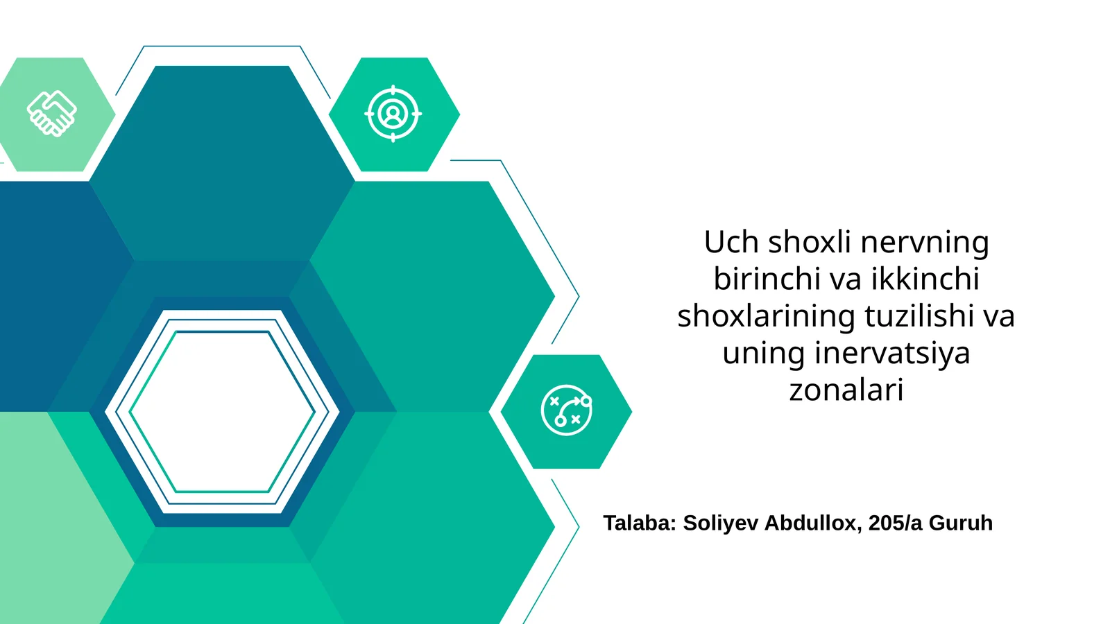 Uch shoxli nervning birinchi va ikkinchi shoxlarining tuzilishi va uning inervatsiya zonalari