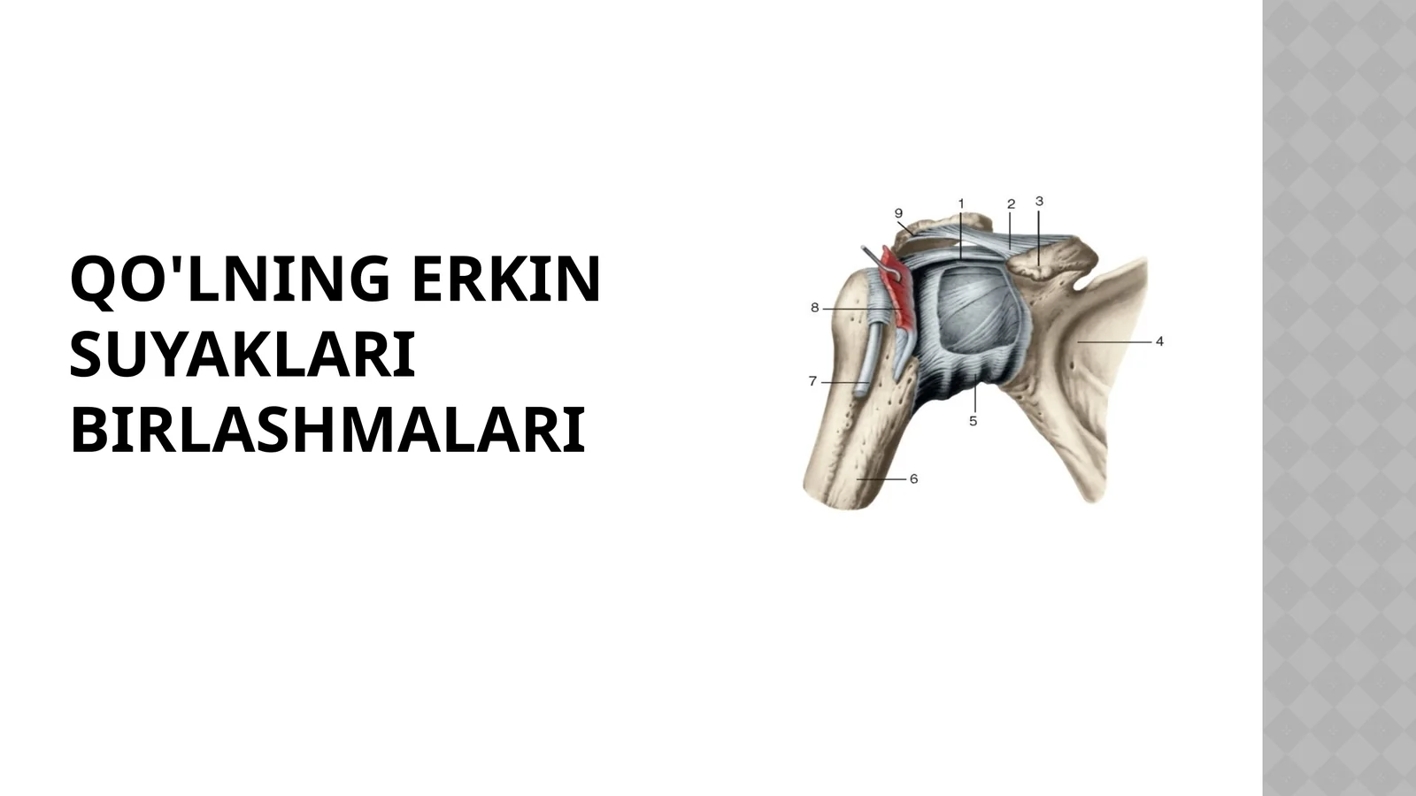 Qo'lning suyaklari birlashmalari