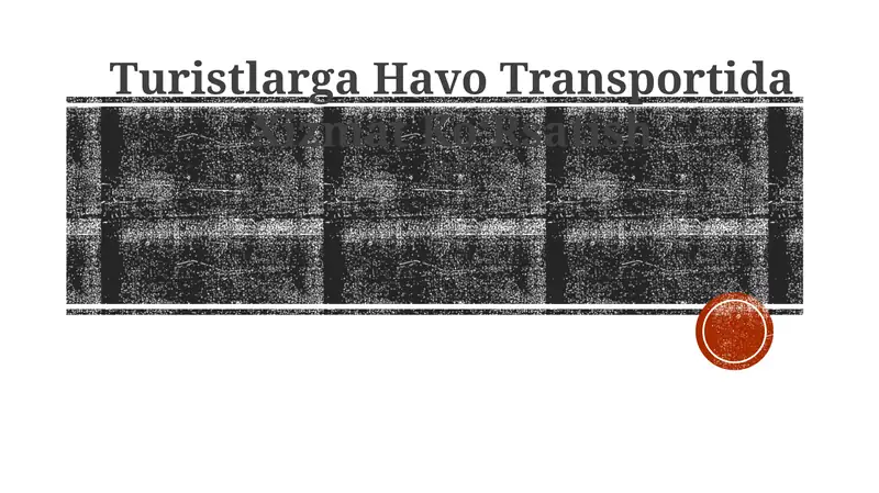 Turistik aviatsiya xizmatlarining asoslari