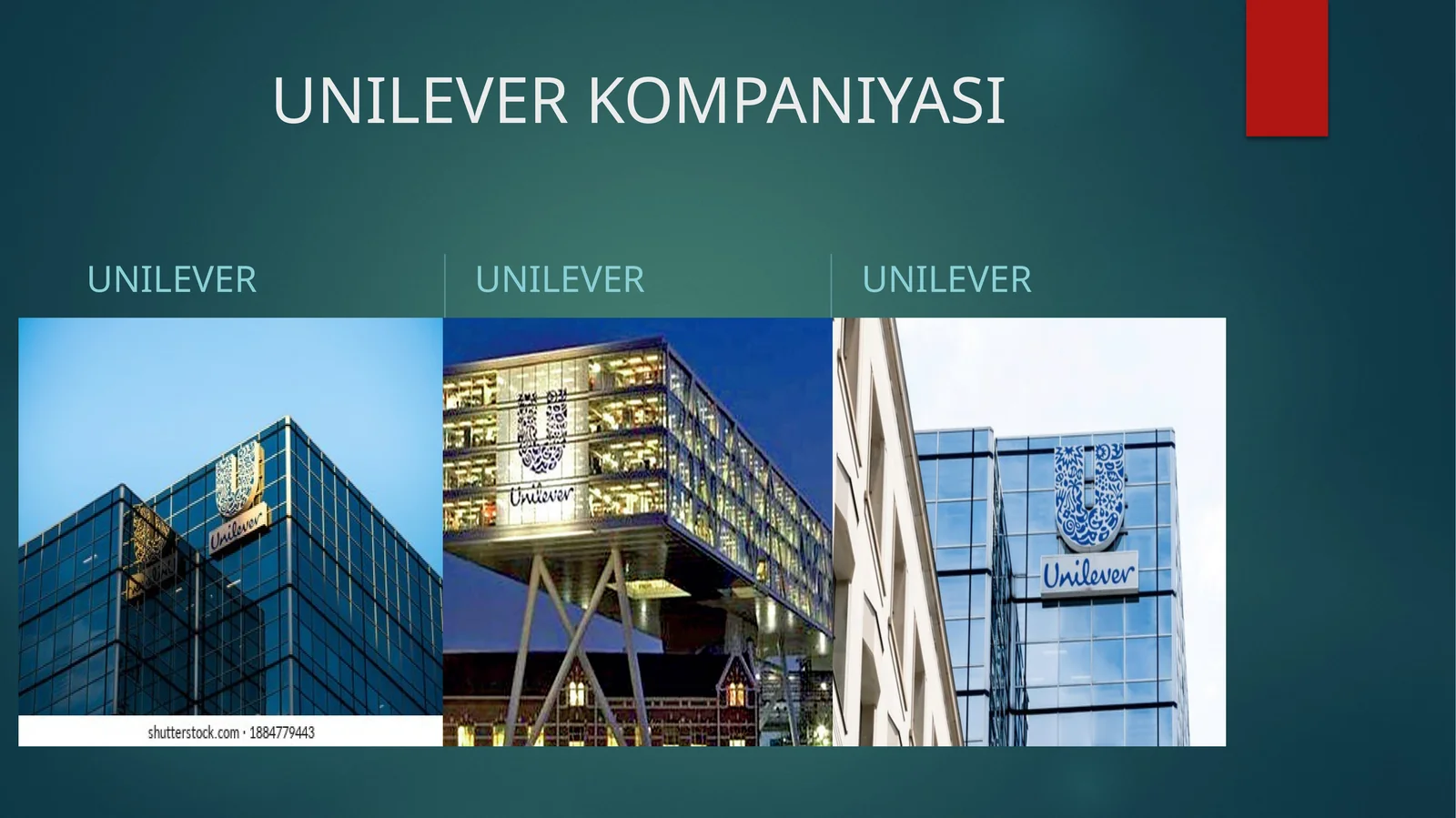 UNILEVER KOMPANIYASI