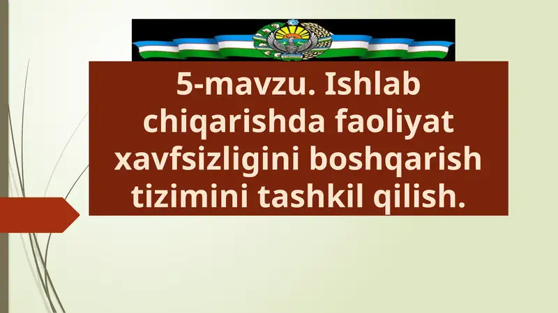 Ishlabchiqarish dafaoliyat xavfsizligi ni boshqarish tizimini tashkil qilish