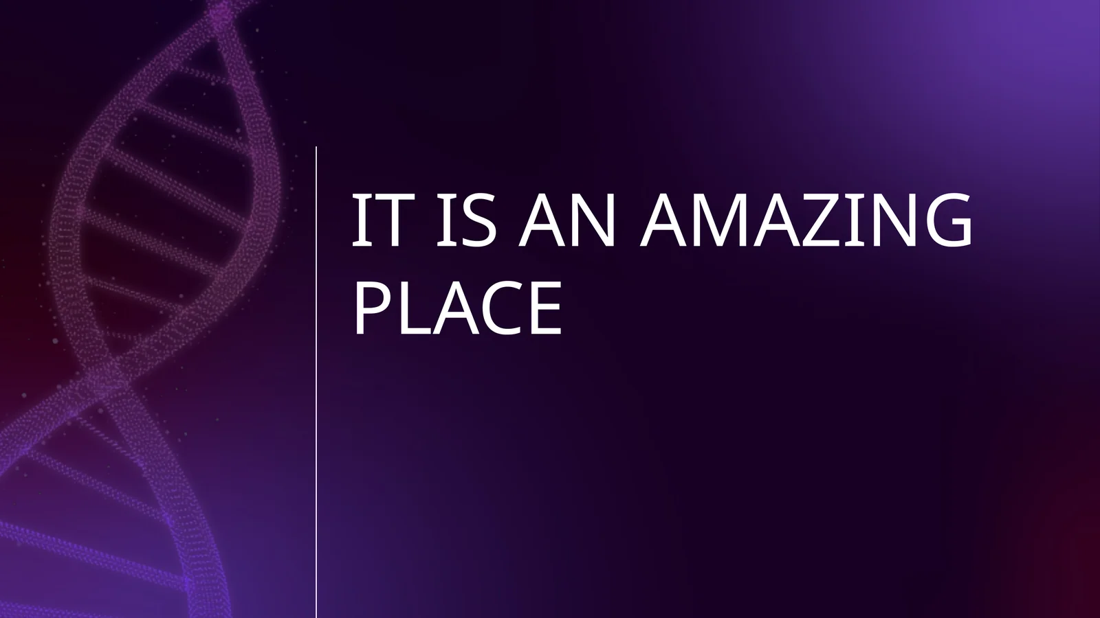 IT IS AN AMAZING PLACE