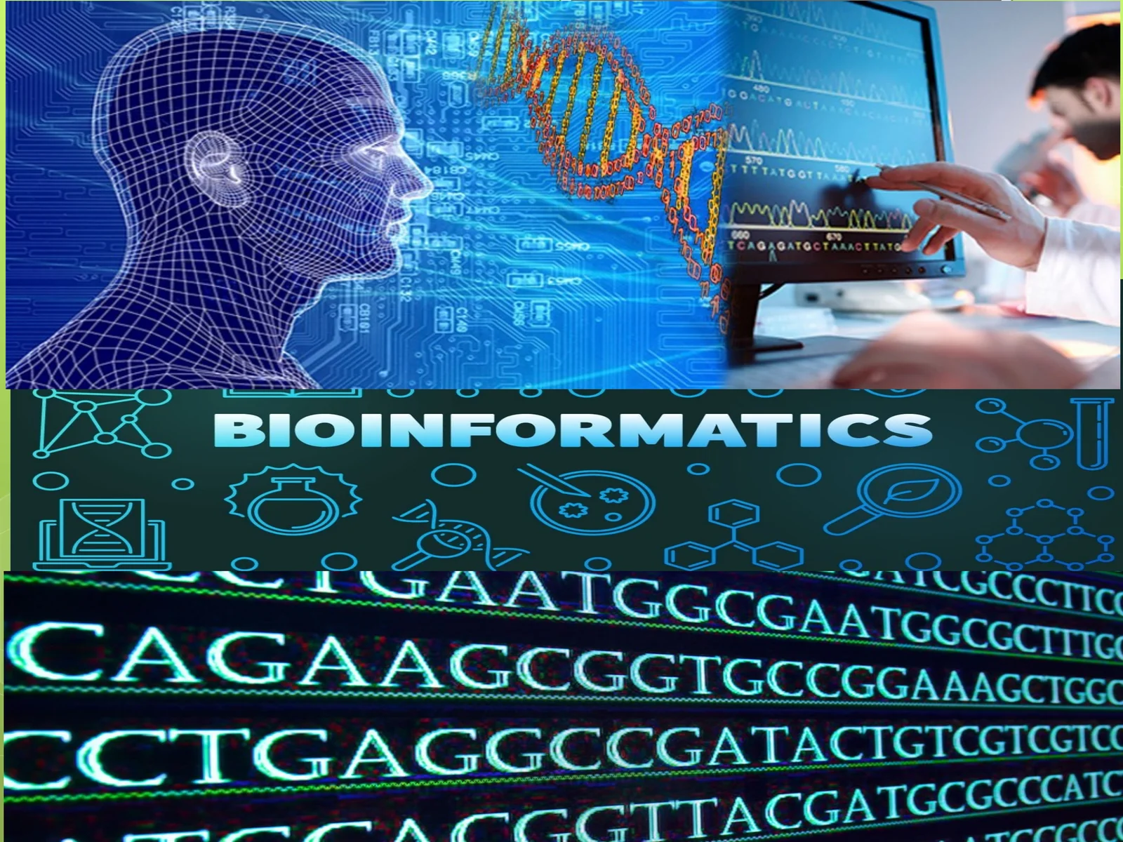 Zamonaviy bioinformatsion malumotlar bazalari
