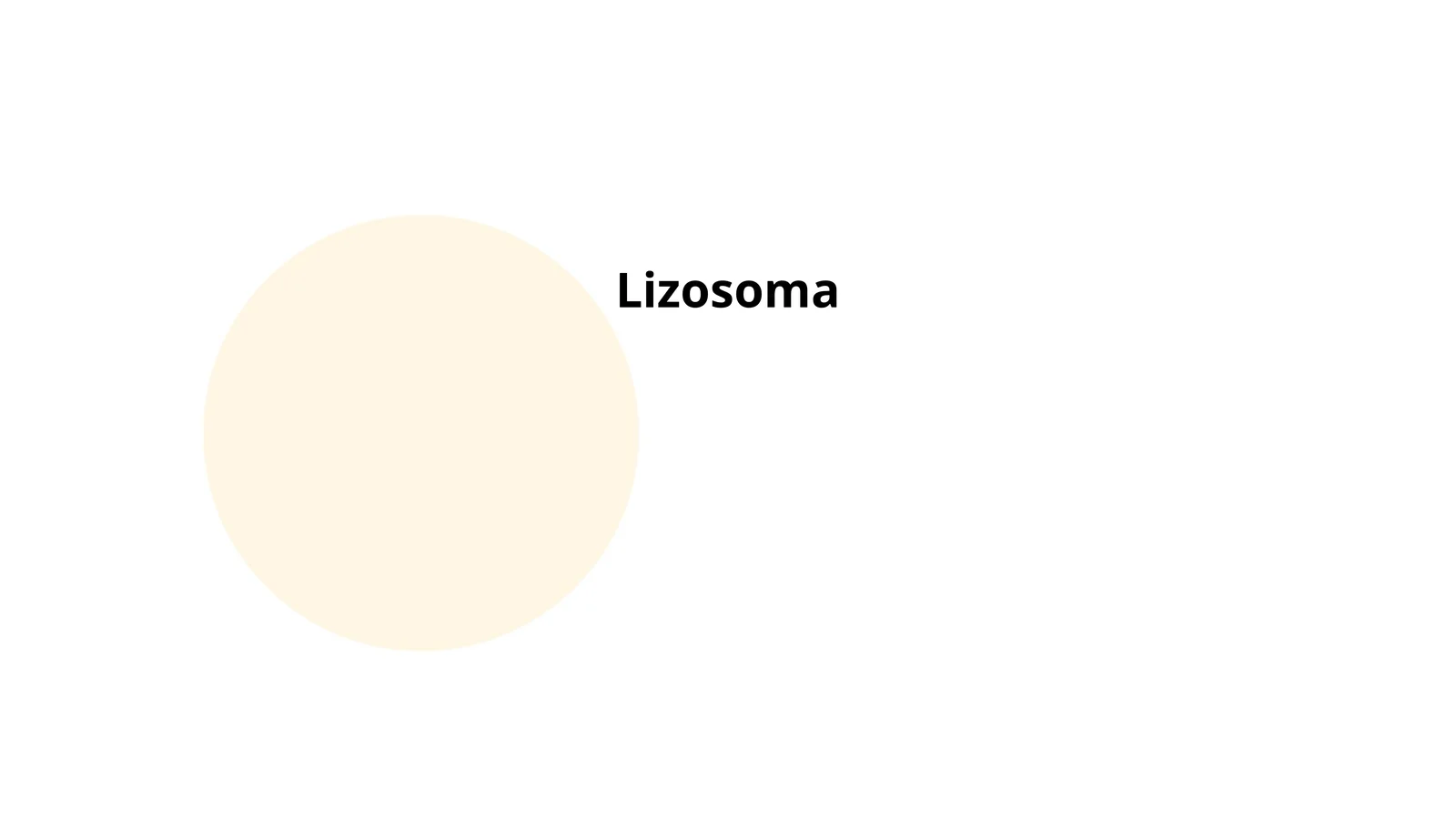 Lizosoma