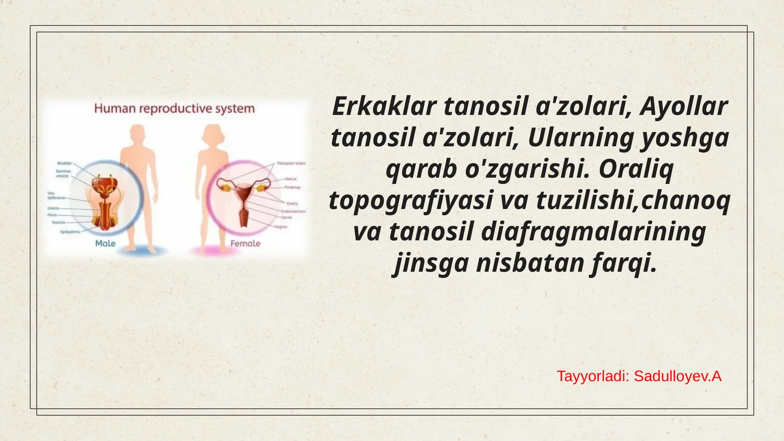 Erkaklar tanosil a'zolari, Ayollar tanosil a'zolari, Ularning yoshga qarab o'zgarishi. Oraliq topografiyasi va tuzilishi,chanoq va tanosil diafragmalarining jinsga nisbatan farqi.