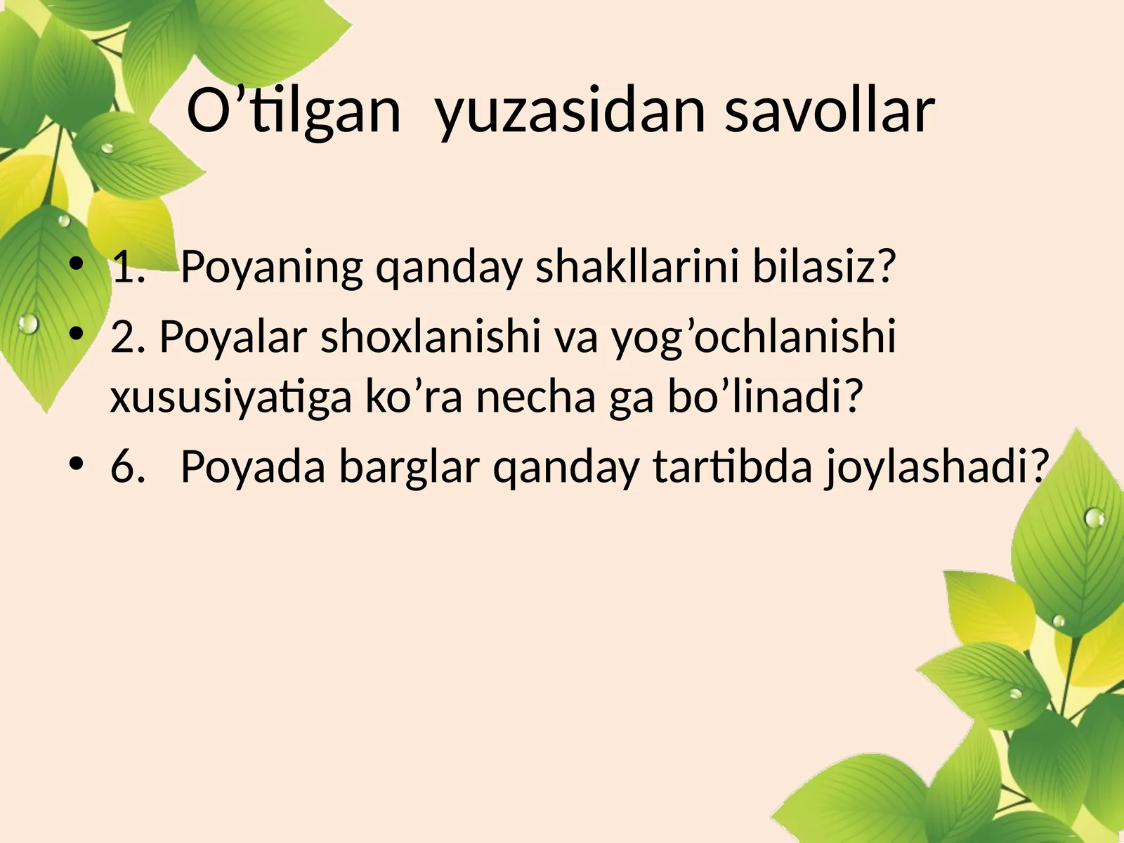 Novda
