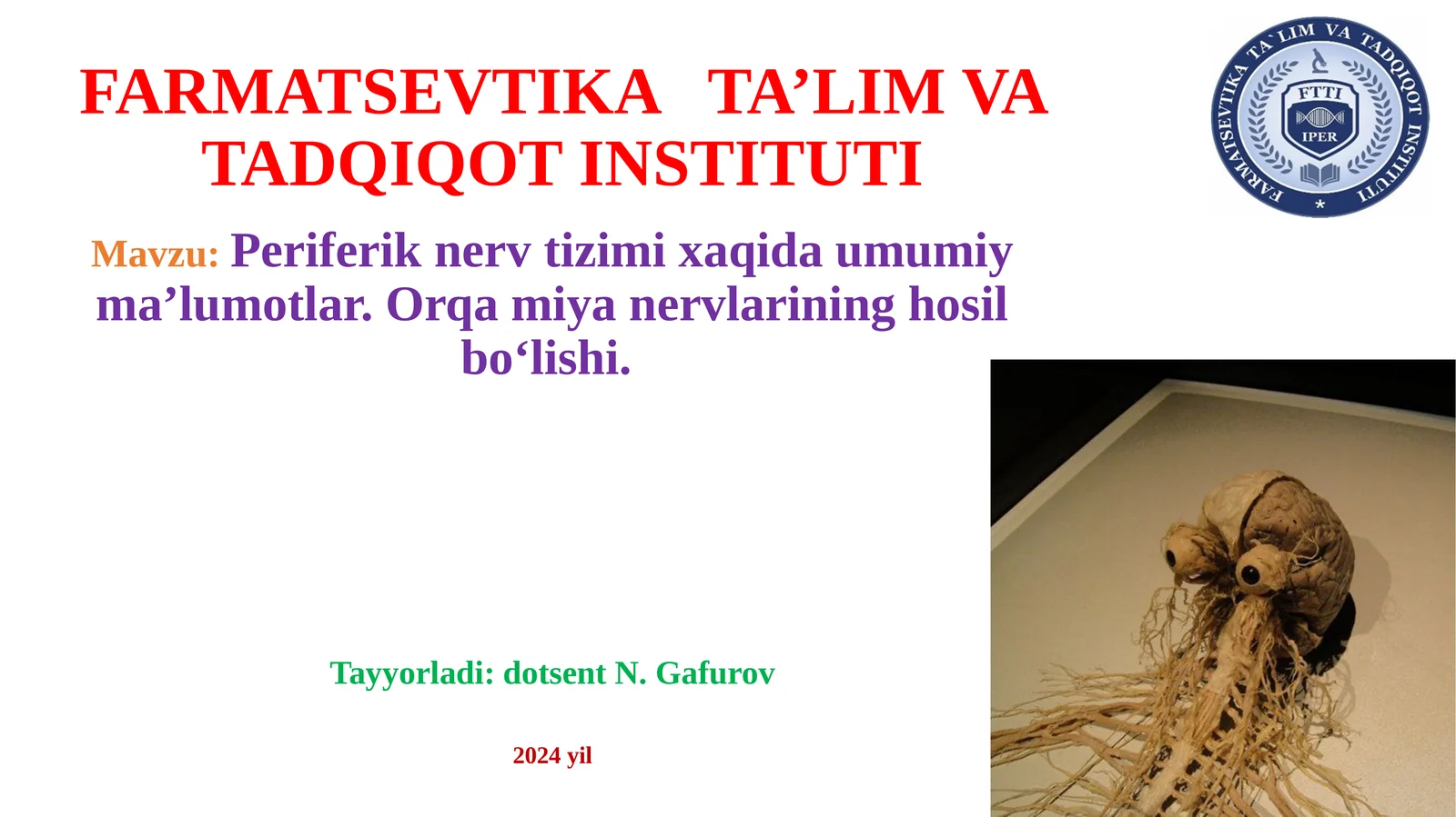 Periferik nerv tizimi xaqida umumiy ma’lumotlar